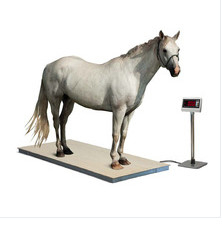 Electronic Carbon Steel Horse Weighing Scales